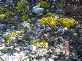 DSC00070.JPG