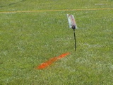 DSC00036.JPG