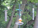DSC00059.JPG