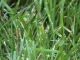 DSC00060.JPG