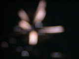 DSC00040.JPG