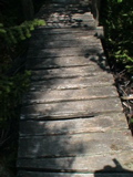 DSC00042.JPG
