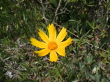 DSC00043.JPG