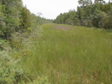 DSC00044.JPG