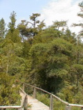 DSC00045.JPG