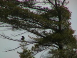 DSC00046.JPG