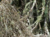 DSC00047.JPG