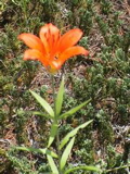 DSC00048.JPG
