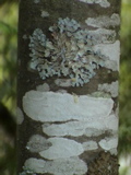 DSC00050.JPG