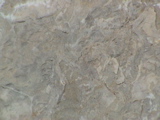 DSC00052.JPG
