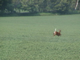 DSC00006.JPG