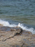 DSC00020.JPG