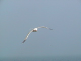DSC00021.JPG