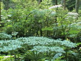 DSC00023.JPG