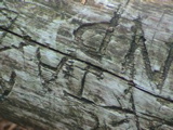 DSC00026.JPG