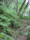 DSC00030.JPG
