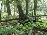 DSC00031.JPG