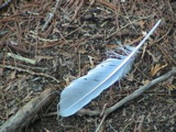 DSC00034.JPG