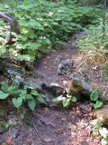 DSC00035.JPG
