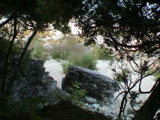 DSC00036.JPG