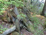 DSC00042.JPG