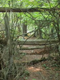 DSC00046.JPG