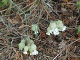 DSC00049.JPG