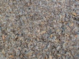 DSC00054.JPG