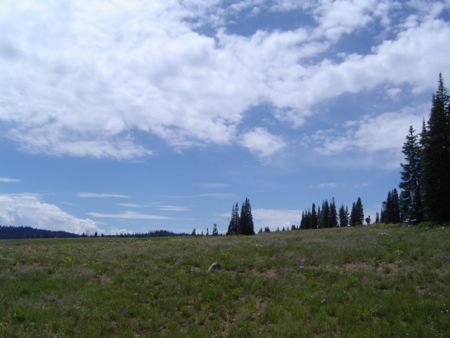 DSC01425.JPG