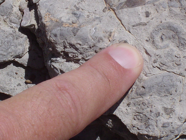 DSC01428.JPG
