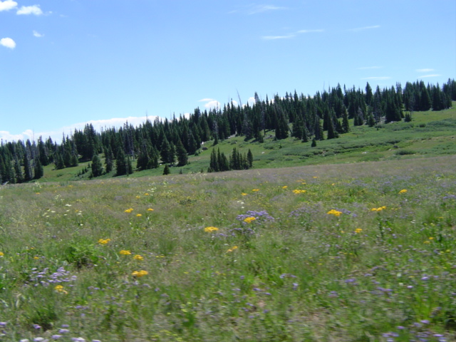DSC01417.JPG