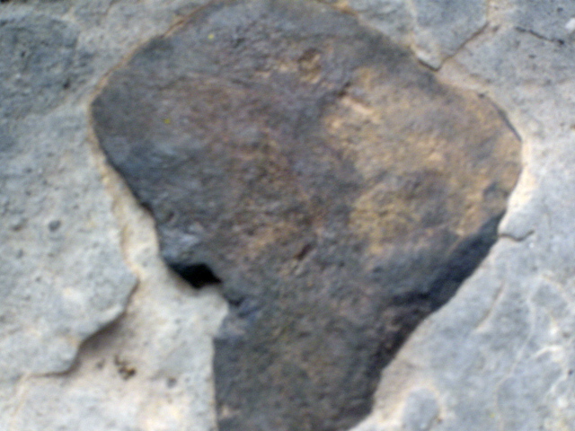 DSC01438.JPG