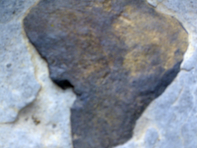 DSC01439.JPG