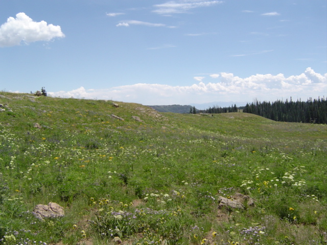 DSC01418.JPG