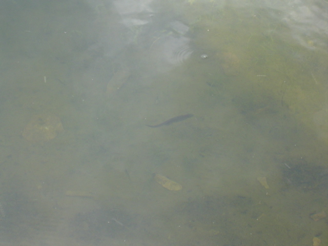 DSC01447.JPG