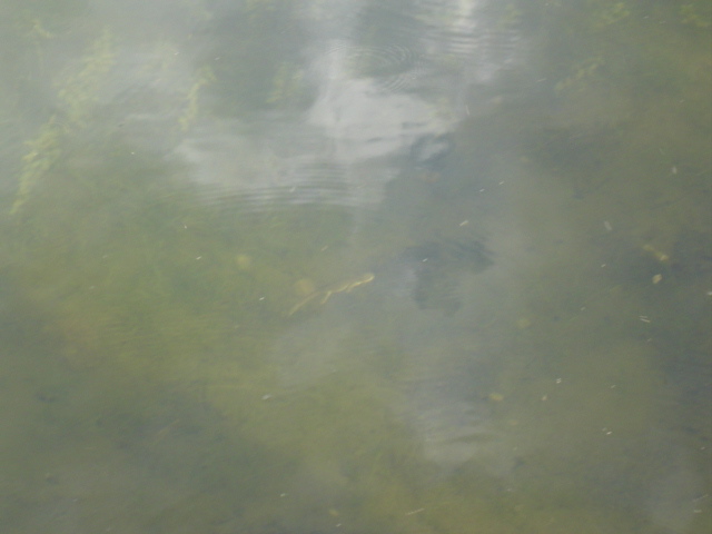 DSC01448.JPG