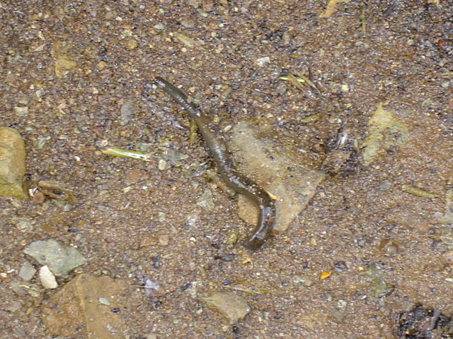 DSC01449.JPG