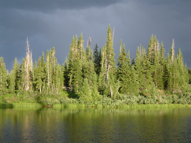 DSC01453.JPG