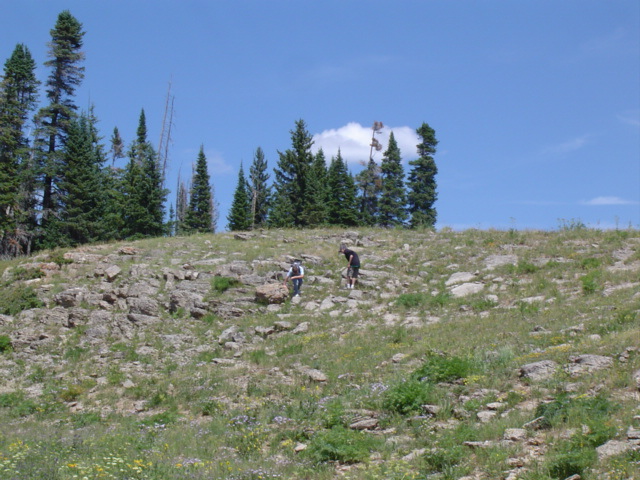 DSC01419.JPG