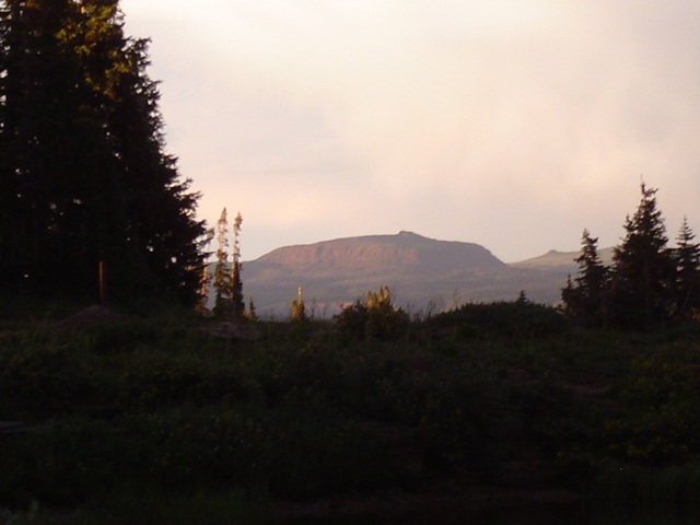 DSC01456.JPG