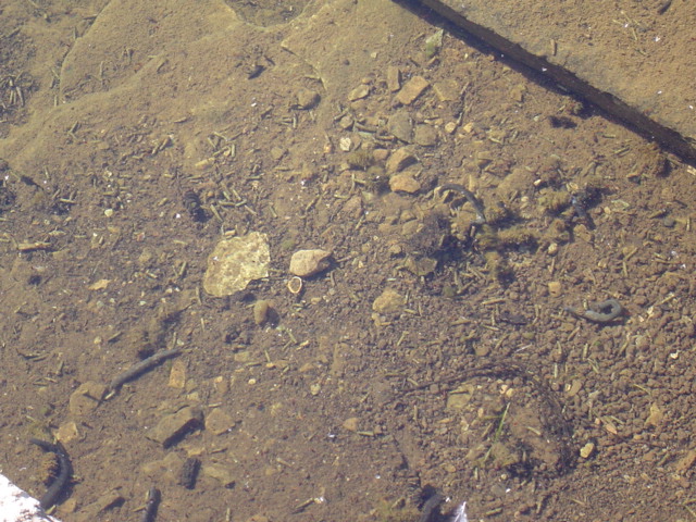 DSC01462.JPG