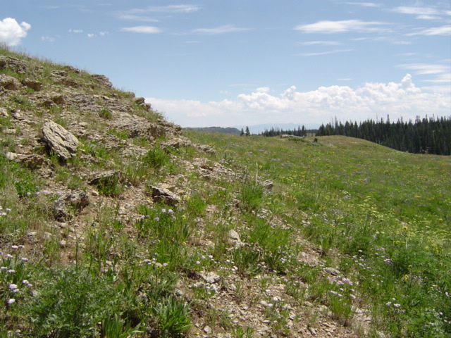 DSC01420.JPG