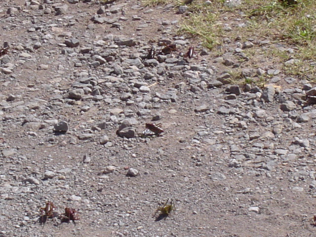 DSC01470.JPG