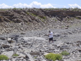 DSC01415.JPG