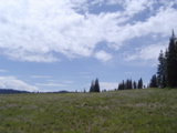 DSC01425.JPG