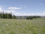 DSC01426.JPG