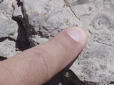 DSC01428.JPG