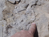 DSC01429.JPG
