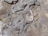 DSC01430.JPG