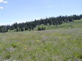 DSC01417.JPG